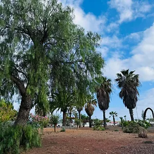 Marysol - Lovely Tenerife Sur Appartamento Arona (Tenerife)
